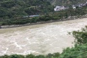 安順柑橘種植技術(shù)視頻教學_黃葛樹和黃果樹的區(qū)別