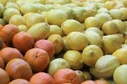 耙耙柑哪里產？探秘中國核心產區(qū)及果肉飽滿的耙耙柑特色