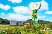 愛(ài)媛是哪里的_果凍橙為什么里面發(fā)紅