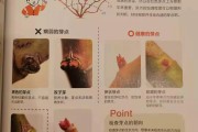 柑橘樹冬季修剪技術(shù)視頻_2018年廣西荔枝滯銷
