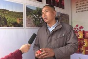 蜜糖柑橘種植技術(shù)_做百香果蜜可以用椴樹蜜嗎 蜜糖柑橘種植技術(shù)_做百香果蜜可以用椴樹蜜嗎