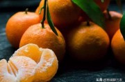 柑橘如何長(zhǎng)期保存不爛_柑橘可以放冰箱保存嗎 柑橘如何長(zhǎng)期保存不爛_柑橘可以放冰箱保存嗎