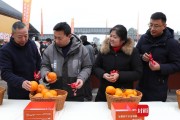 大雅柑橘11月份種植技術(shù)_請問有什么經(jīng)濟(jì)作物適合生長在亞熱帶濕潤季風(fēng)氣候中