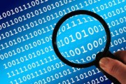 有關(guān)沃柑信息的全面解析與種植指南