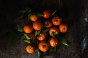 明日見(jiàn)柑橘露天種植好嗎冬天開(kāi)花嗎圖片大全視頻（明日見(jiàn)柑橘又叫什么）