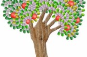 柑橘樹長青苔用什么藥(柑橘樹上長青苔什么時候打藥) 柑橘樹長青苔用什么藥(柑橘樹上長青苔什么時候打藥)