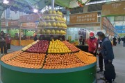 廣西靈山柑橘苗種植技術(shù)_初中文化的巧婦9妹靠農(nóng)業(yè)直播年收入1000萬 廣西靈山柑橘苗種植技術(shù)_初中文化的巧婦9妹靠農(nóng)業(yè)直播年收入1000萬
