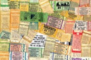 2023年早熟柑橘價格多少錢一斤？主產(chǎn)區(qū)行情走勢全面解析