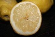 柑橘枝梢上斑點(diǎn)怎么回事？詳解常見(jiàn)病因與防治對(duì)策