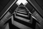 零基礎(chǔ)必看！春季柑橘幼苗嫁接高清視頻教程（手把手教學(xué)版）