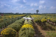 柑橘最新2025：未來五年種植技術(shù)革新與市場趨勢前瞻