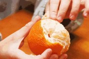 四川黃美人柑橘苗種植基地_資陽市哪個區(qū)有丑美人柑橘苗