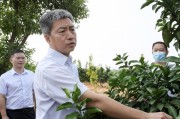 婁底柑橘種植新技術(shù)_衡陽隔壁是哪個市