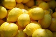 哪種柑子品種最好？十大優(yōu)質(zhì)品種口感與產(chǎn)量對比解析
