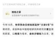 廣西沃柑黃龍病發(fā)生狀況（武鳴沃柑黃龍病嚴(yán)重嗎）
