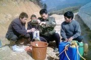 柑橘全年病蟲(chóng)害進(jìn)程圖表_如何有效的預(yù)防跟治療柑橘砂皮病 柑橘全年病蟲(chóng)害進(jìn)程圖表_如何有效的預(yù)防跟治療柑橘砂皮病
