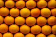 柑橘類成熟期的季節(jié)變化與果實品質調控因素解析