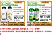 柑橘十月的病蟲害_柑橘周年病害的防治技巧有哪些