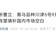 沃柑是什么時間的水果（沃柑的季節(jié)是什么時候）