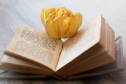 柑橘別名叫什么？由來及俗稱科普，你知道幾個常見別名？