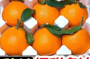 愛媛38的特點是什么(愛媛28與愛媛38的區(qū)別優(yōu)劣)