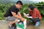特派員柑橘病蟲害_挖坑深埋會不會影響到地下水質(zhì)呢