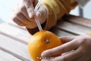 愛媛和橙子的區(qū)別_愛媛38號果凍橙產(chǎn)地 愛媛和橙子的區(qū)別_愛媛38號果凍橙產(chǎn)地
