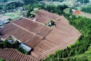 田間示范秀柑橘種植技術(shù)_需要建大概多少方的抗旱蓄水池