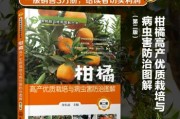 柑橘常見病害及其防治論文(柑橘常見病害及其防治論文范文) 柑橘常見病害及其防治論文(柑橘常見病害及其防治論文范文)