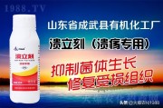 防治柑橘病蟲害的中草藥_柑橘土壤板結(jié)應該怎么辦
