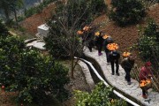 江山柑橘種植技術_CK永恒淡噴式男士香水介紹
