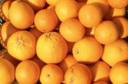 柑桔黃葉花葉病用什么藥治療？科學(xué)用藥方法與防治指南