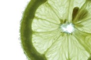 甘平柑橘套袋用什么規(guī)格好用些呢（柑橘套袋有什么好處）