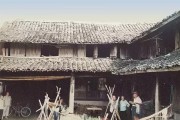涌泉柑橘種植管理技術(shù)_東江湖蜜桔和涌泉蜜桔哪個(gè)好吃