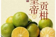廣西皇帝柑哪里產(廣西皇帝柑和德慶皇帝柑哪個好)