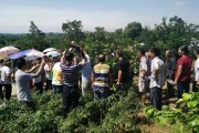 柑橘類病蟲害統(tǒng)防統(tǒng)治_贛南臍橙黃龍病會不會消失