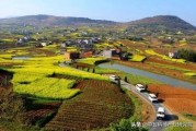 柑橘食用菌種植技術(shù)_異抗壞血酸鈉的正確添加方法