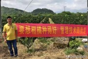 廣西柑橘種植技術(shù)圖片及價格_2021年12月份柳州有什么果可搞 廣西柑橘種植技術(shù)圖片及價格_2021年12月份柳州有什么果可搞