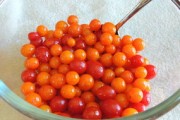三月紅柑橘2025:未來產業(yè)升級與豐收年景前瞻 三月紅柑橘2025:未來產業(yè)升級與豐收年景前瞻