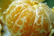 甘平柑橘種植技術(shù)難點(diǎn)有哪些(甘平柑橘種植技術(shù)難點(diǎn)有哪些方面) 甘平柑橘種植技術(shù)難點(diǎn)有哪些(甘平柑橘種植技術(shù)難點(diǎn)有哪些方面)