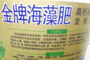 愛媛修剪方法_種點(diǎn)什么能產(chǎn)生效益