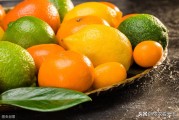 柑橘高品質(zhì)種植技術(shù)_如何繁育出不帶病毒的苗木 柑橘高品質(zhì)種植技術(shù)_如何繁育出不帶病毒的苗木