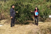 柑橘種植技術(shù)與施肥_柑橘樹(shù)能長(zhǎng)多高 柑橘種植技術(shù)與施肥_柑橘樹(shù)能長(zhǎng)多高
