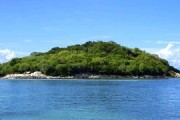 宜賓沃柑基地：長(zhǎng)江畔萬(wàn)畝示范園豐收喜人，甜蜜產(chǎn)業(yè)鋪就鄉(xiāng)村振興新篇章