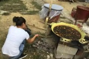 柑橘開(kāi)春病蟲(chóng)害有哪些防治方法_有什么藥劑防治比較好