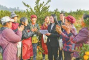 武勝柑橘種植技術(shù)_四川南充市嘉陵區(qū)有多少鎮(zhèn)