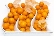 川津5號(hào)開始賣果嗎？果農(nóng)正式宣布上市時(shí)間及銷售詳情