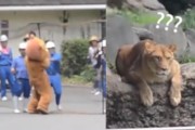 愛媛38柑橘修剪技術(shù)視頻_在農(nóng)村承包100畝耕地