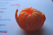 柑橘果實多久能發(fā)芽？影響發(fā)芽時間的關(guān)鍵因素與栽培技巧解析