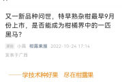 臍橙怎么挑選比較甜的品種（臍橙如何挑選甜的）
